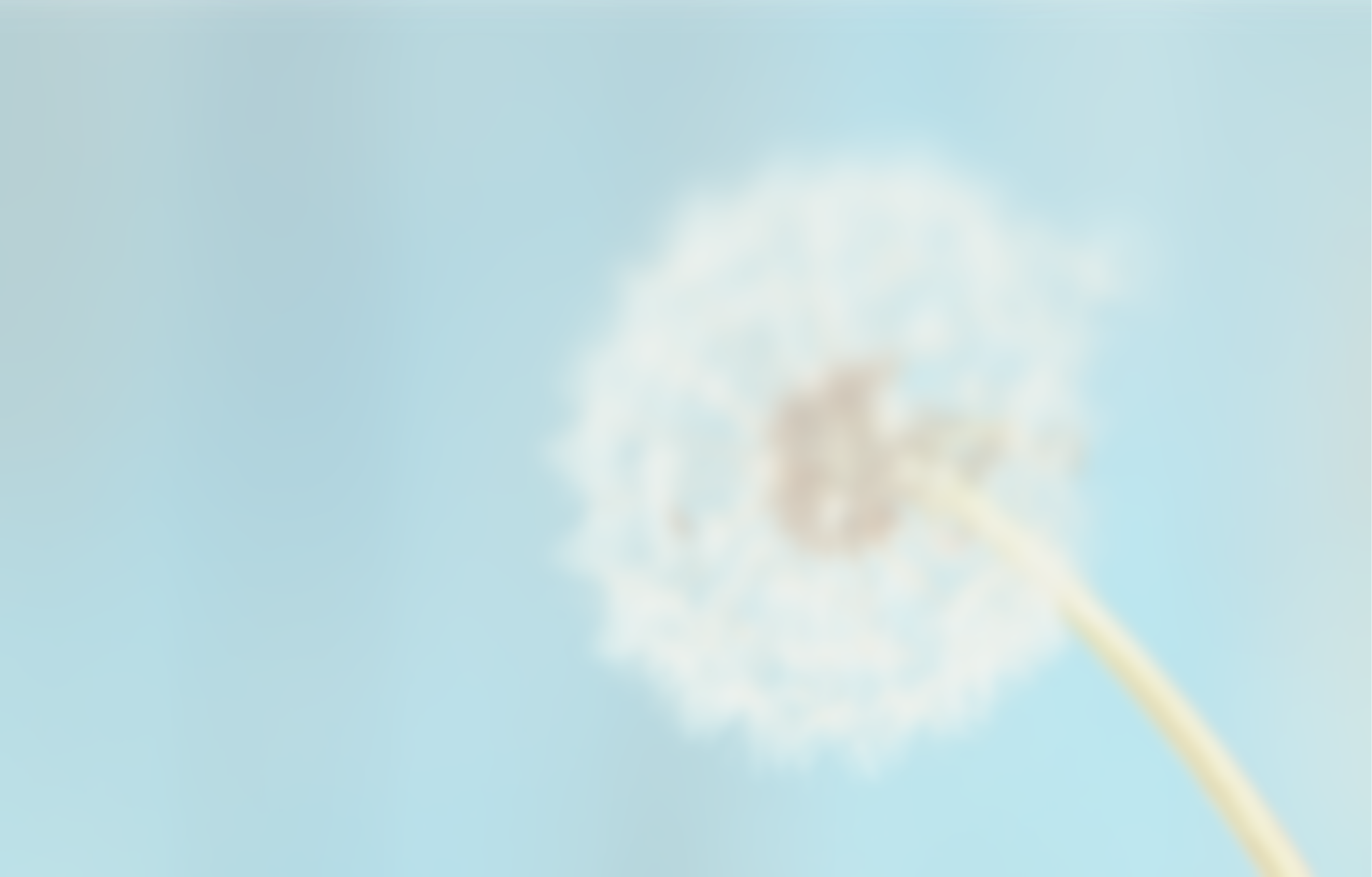 Decor Bg